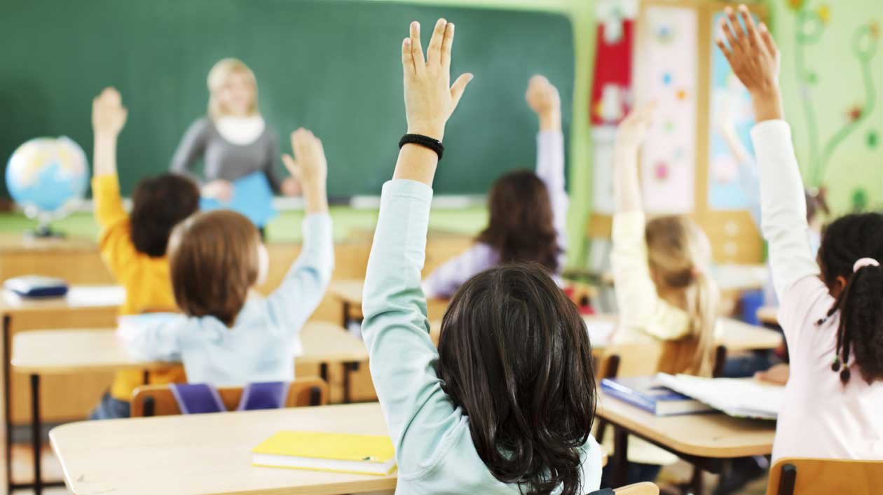 Curiosidades sorprendentes del sistema educativo