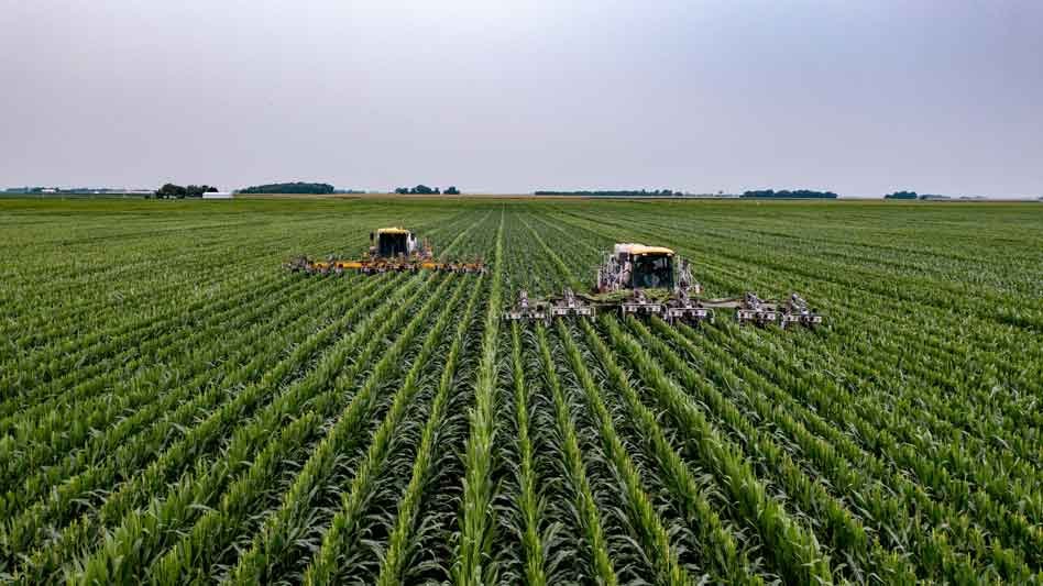 Curiosidades de la agricultura intensiva y su impacto ambiental