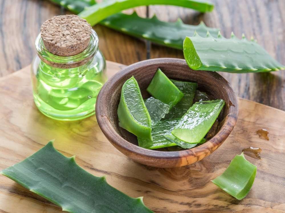 Beneficios del aloe vera para la salud y curiosidades sorprendentes