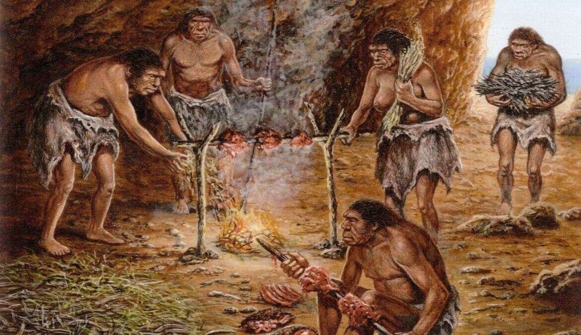 Curiosidades fascinantes de Homo erectus y ergaster