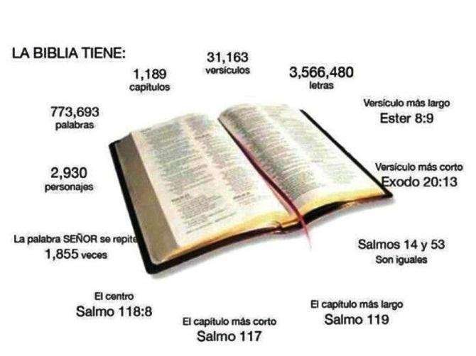 Descubre las curiosidades y anécdotas más sorprendentes de la Biblia