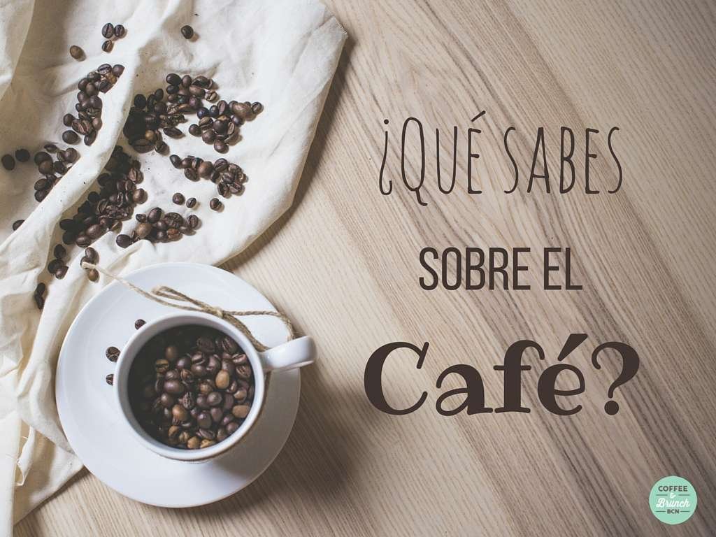 Curiosidades detrás de tu taza de café diaria