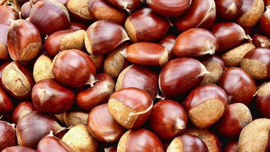 Curiosidades y beneficios de la deliciosa castaña
