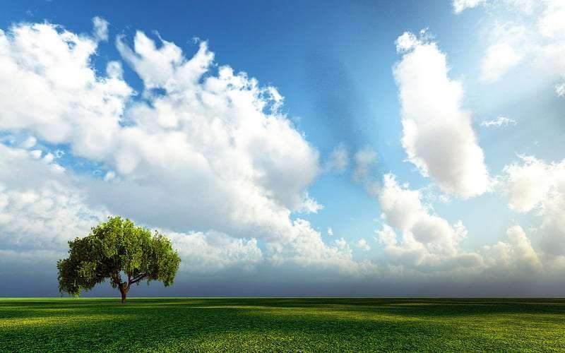 Así en el cielo como en la tierra: curiosidades que te sorprenderán
