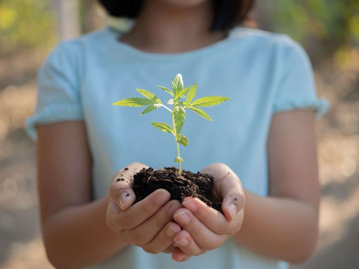 Curiosidades científicas sobre masa y volumen en la naturaleza