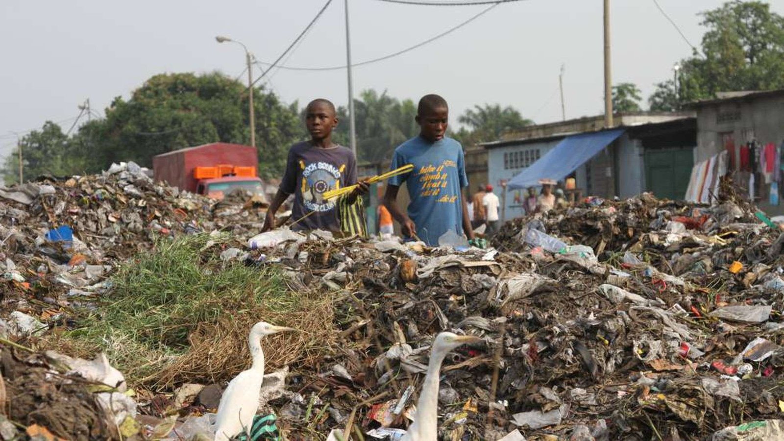 Curiosidades de la contaminación del suelo en el Congo