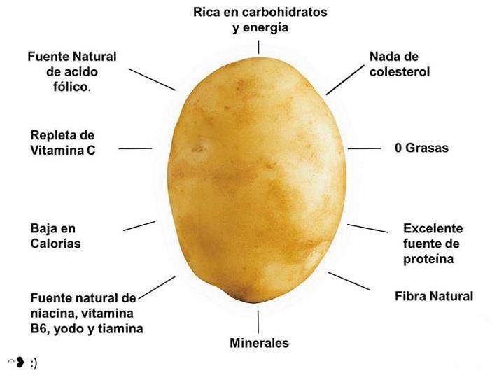 Curiosidades sorprendentes de Papa, cuéntame otra vez