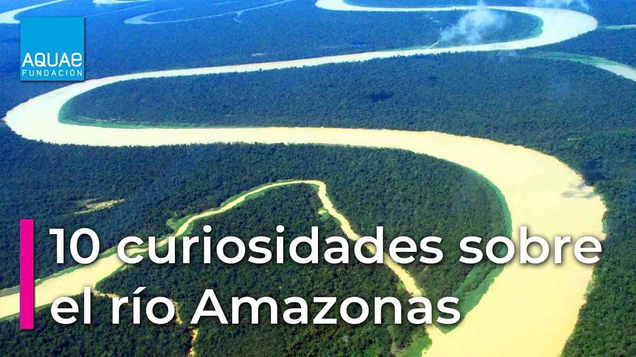 Descubre las curiosidades detrás del éxito mundial de Los del Río