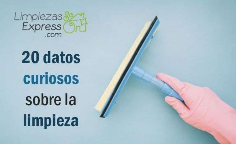 Curiosidades increíbles sobre tareas del hogar que te asombrarán