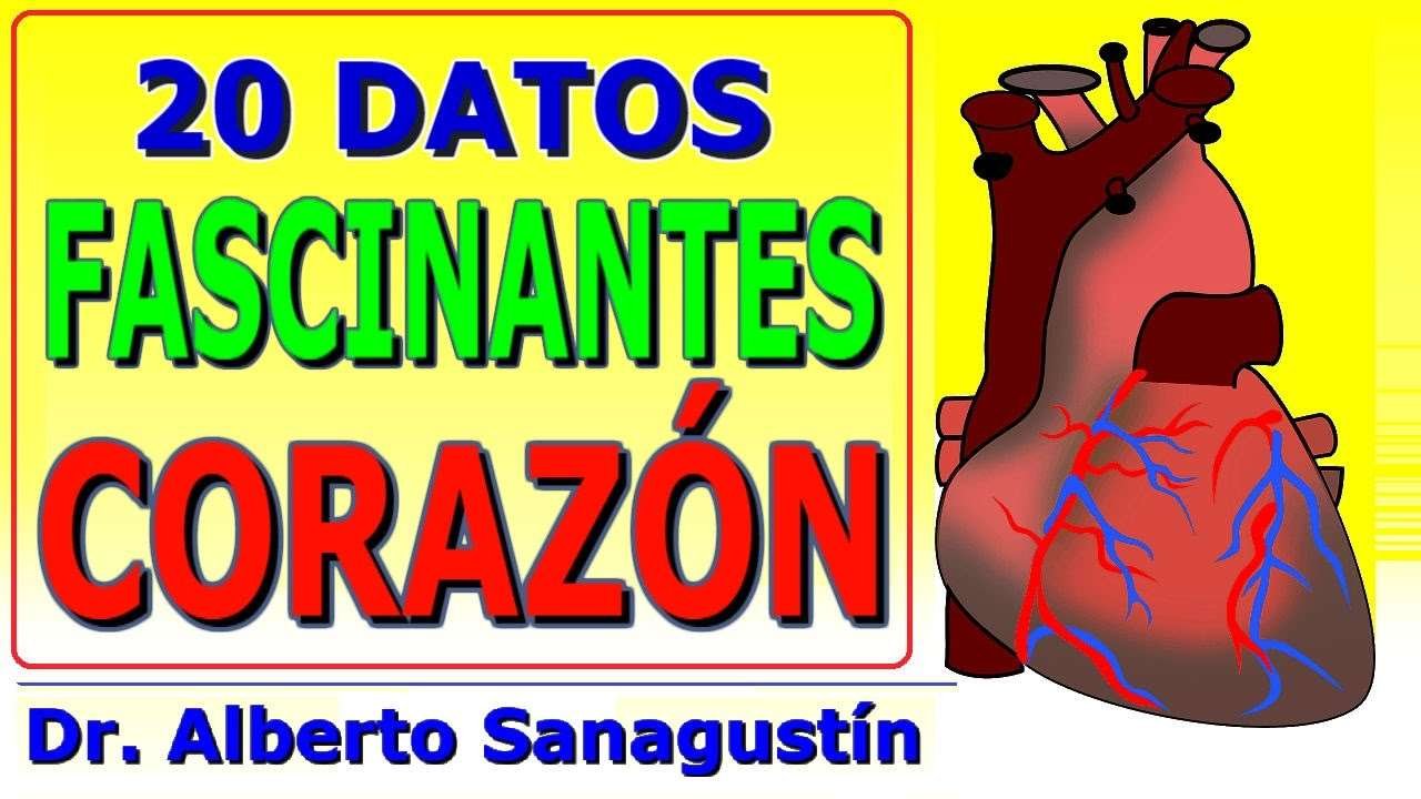 Curiosidades fascinantes de la medicina en un libro imperdible
