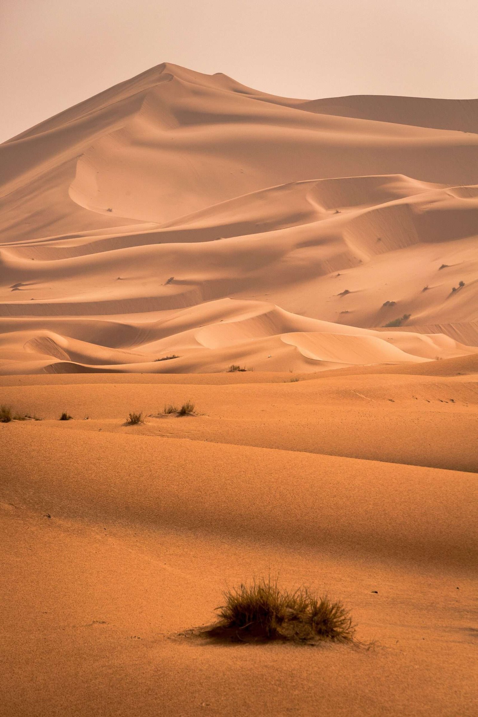 14 curiosidades fascinantes del desierto del Sahara