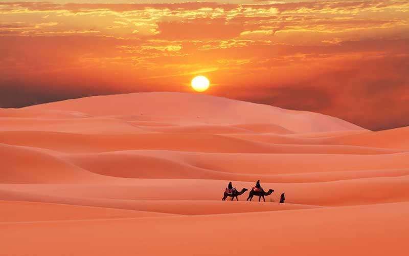 Descubre las sorprendentes curiosidades del clima y paisaje desértico