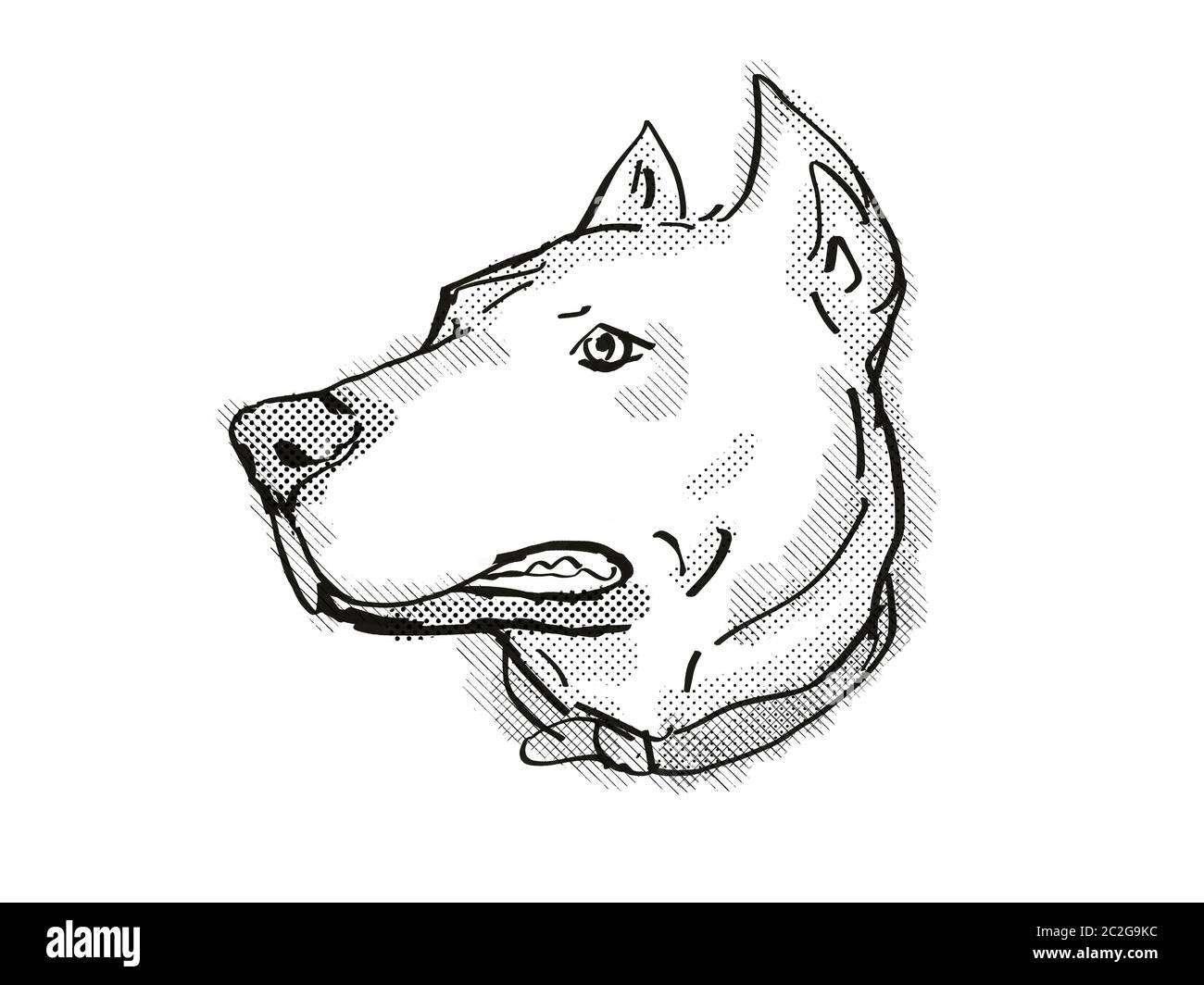 Curiosidades del Dogo Argentino en un divertido dibujo animado