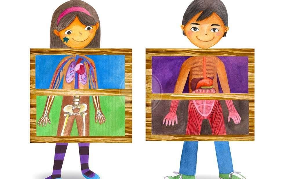 Curiosidades de la reproducción en 6º de primaria