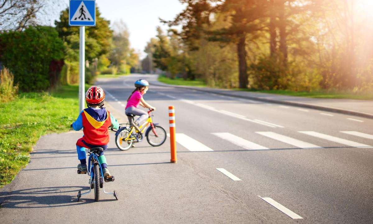 Descubre datos curiosos y sorprendentes sobre la educación vial