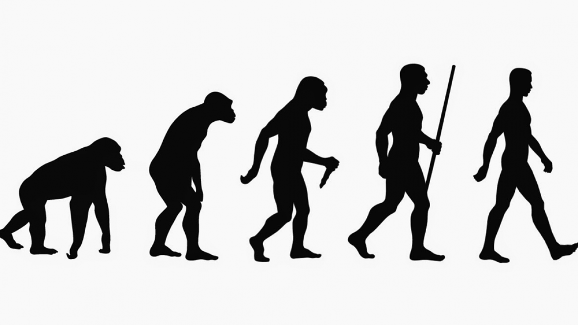 Curiosidades de la evolución de los seres vivos a lo largo del tiempo