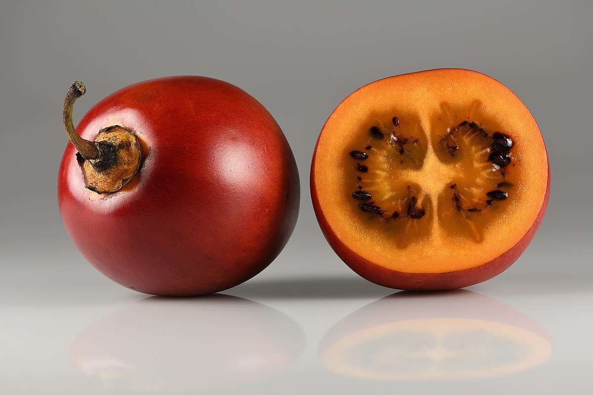 Curiosidades del tomate de árbol: una fruta exótica y nutritiva