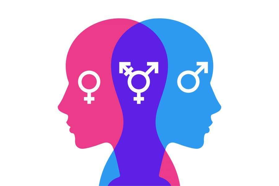 Diferencias sorprendentes entre hombres y mujeres