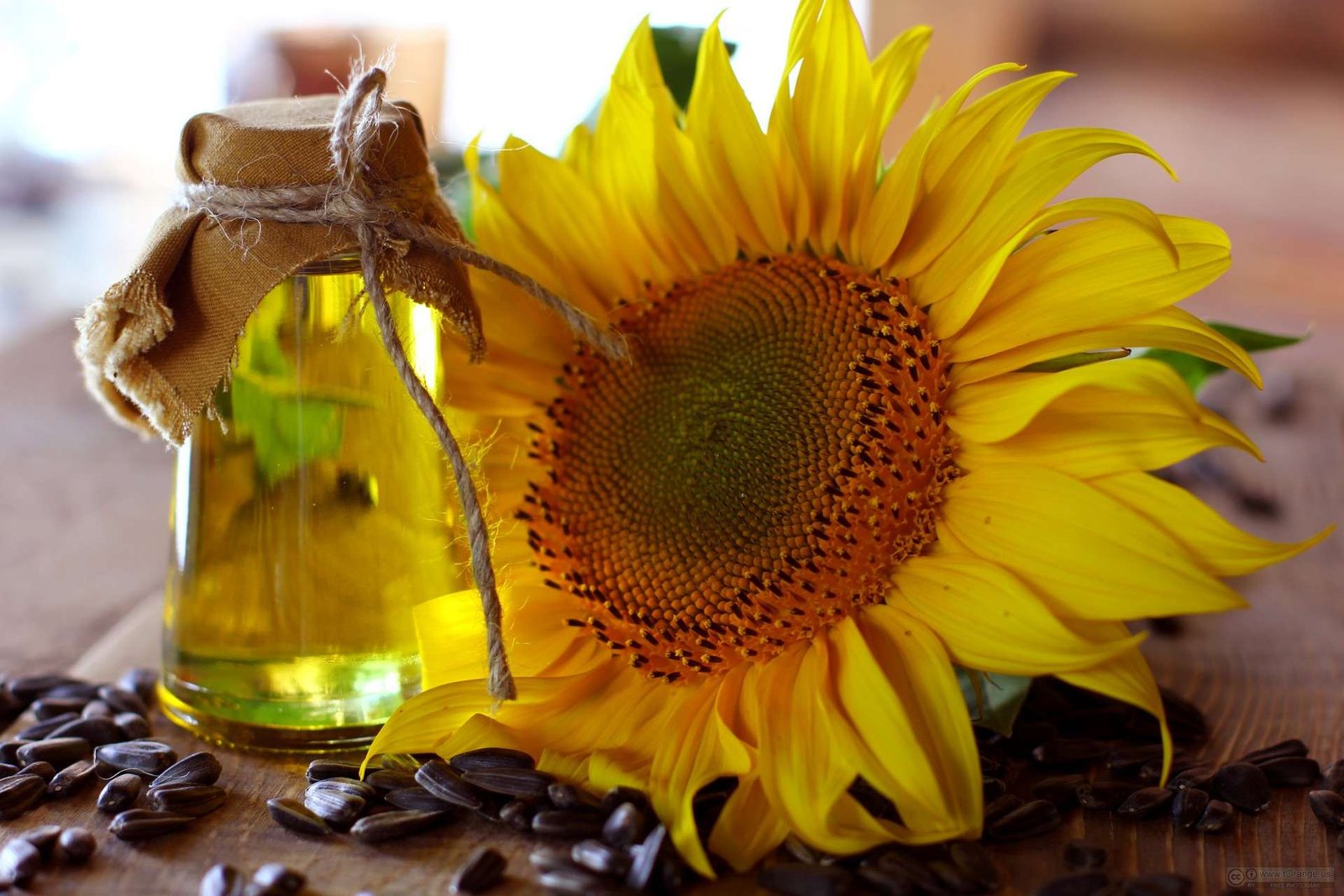 Curiosidades del aceite de girasol: origen y usos culinarios