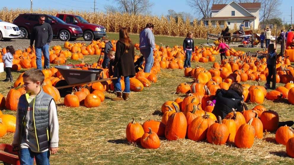 Descubre las curiosidades más sorprendentes del día de Halloween