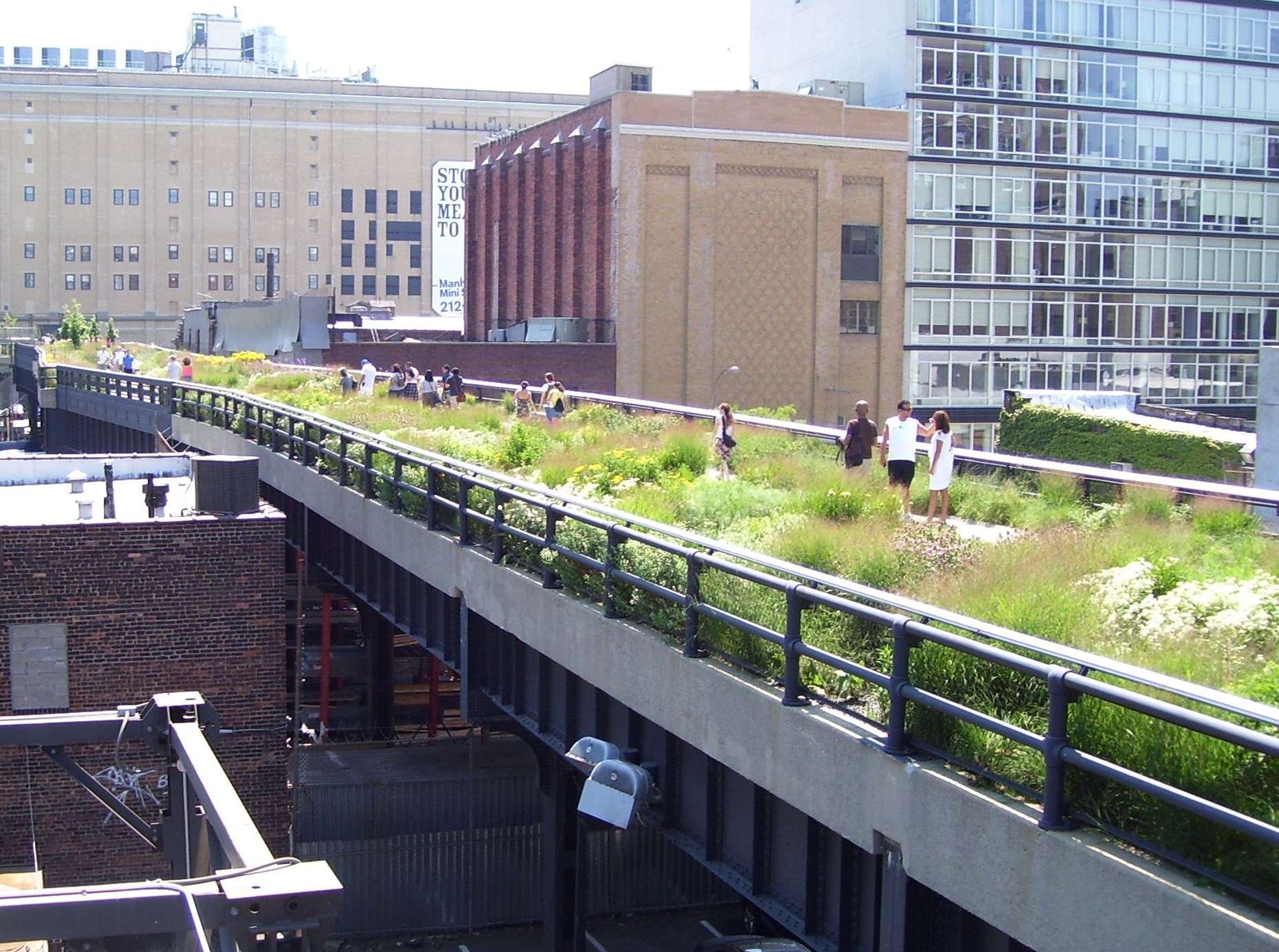Descubre las sorprendentes curiosidades del High Line en Nueva York