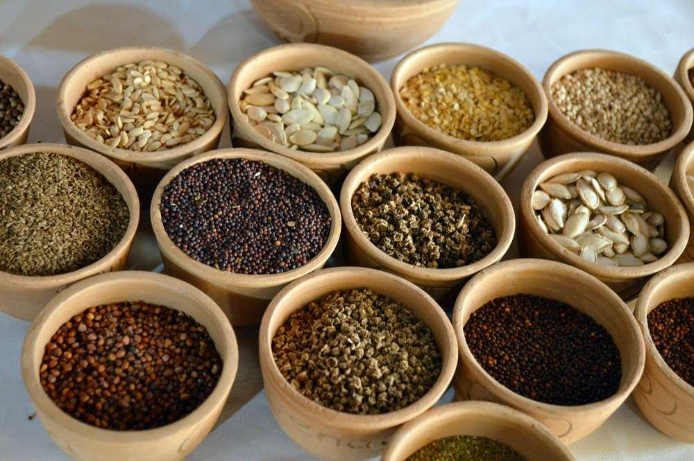 Curiosidades de hortalizas cultivadas desde semillas