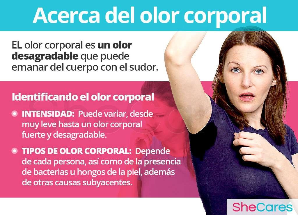 Curiosidades graciosas del cuerpo humano que te harán reír