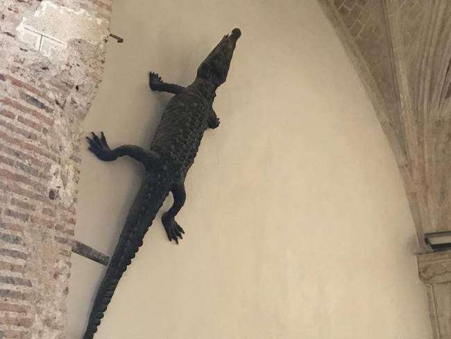 Curiosidades del lagarto del Viso del Marqués