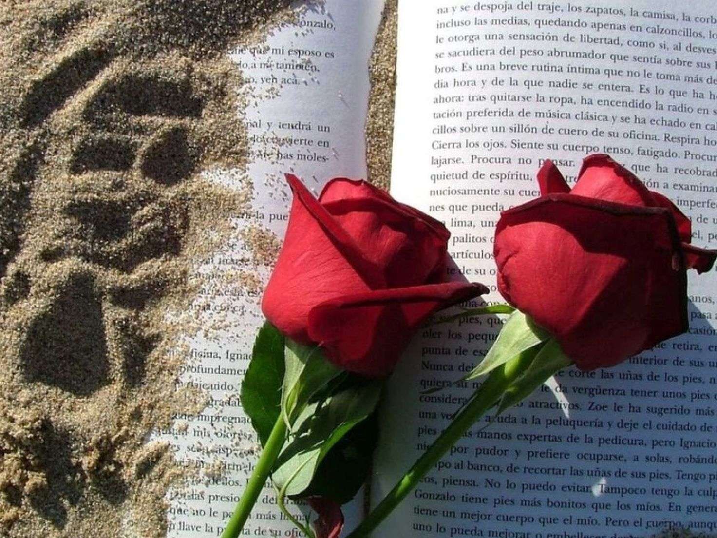 Curiosidades y tradiciones de San Jordi a nivel mundial