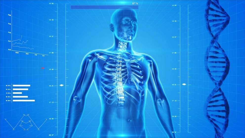 Curiosidades matemáticas del cuerpo humano que te sorprenderán