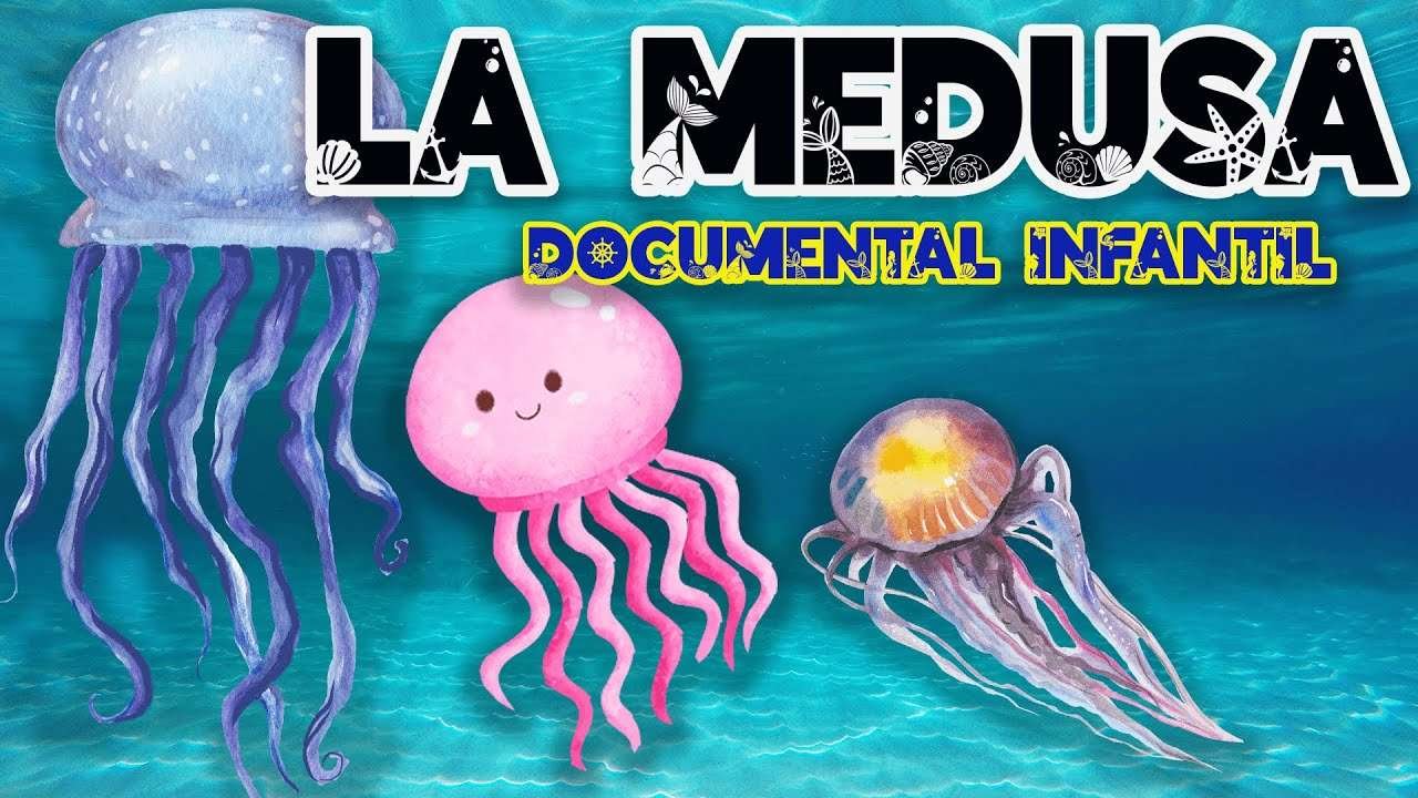 Curiosidades de las medusas: una aventura acuática para niños