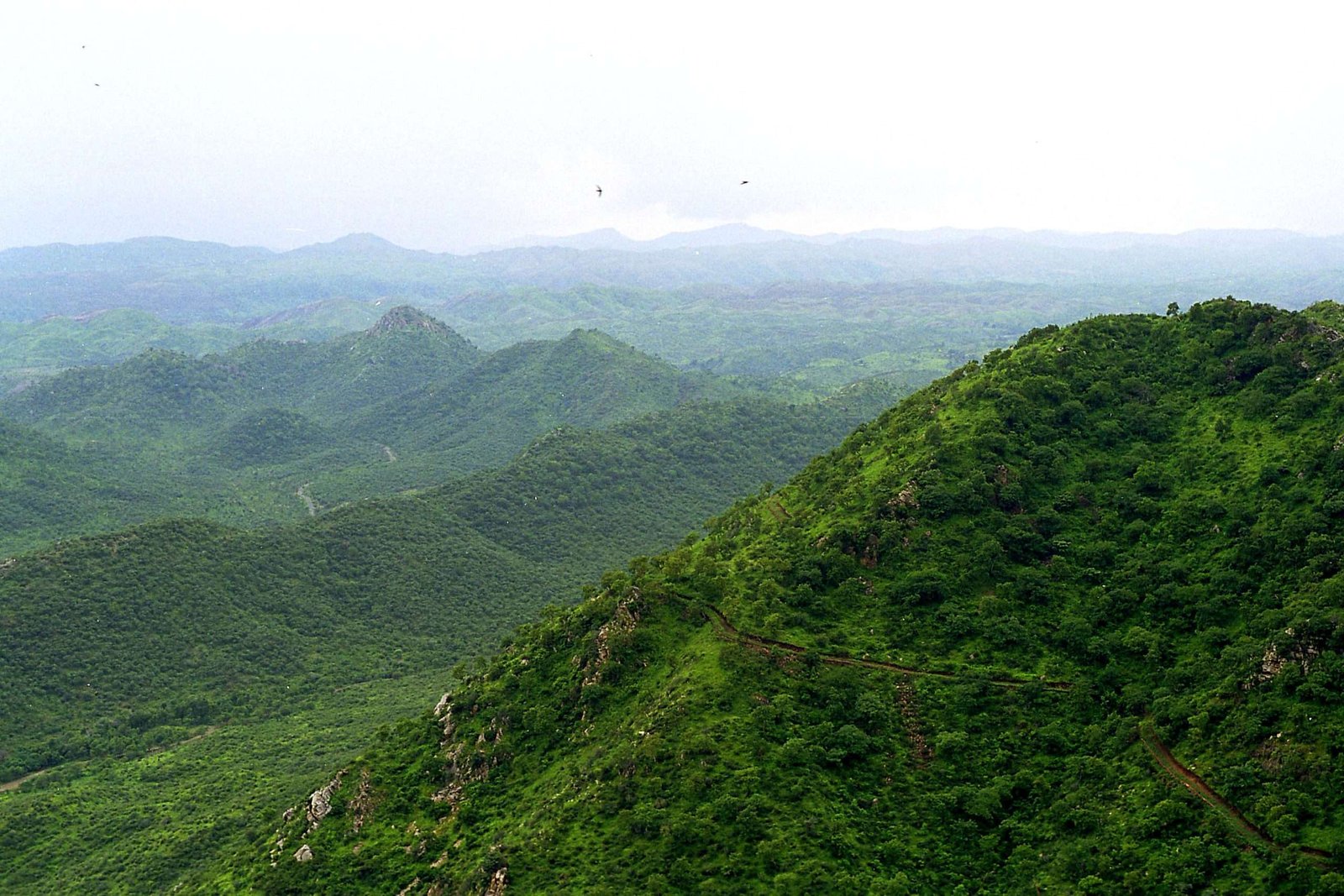 Curiosidades del Montes Aravalli, la cordillera más antigua de India