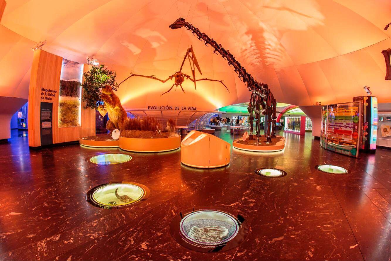 Curiosidades sorprendentes del Museo de Historia Natural de Londres