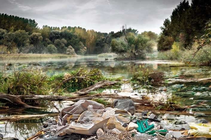 Impacto de la contaminación en el medio ambiente: datos curiosos