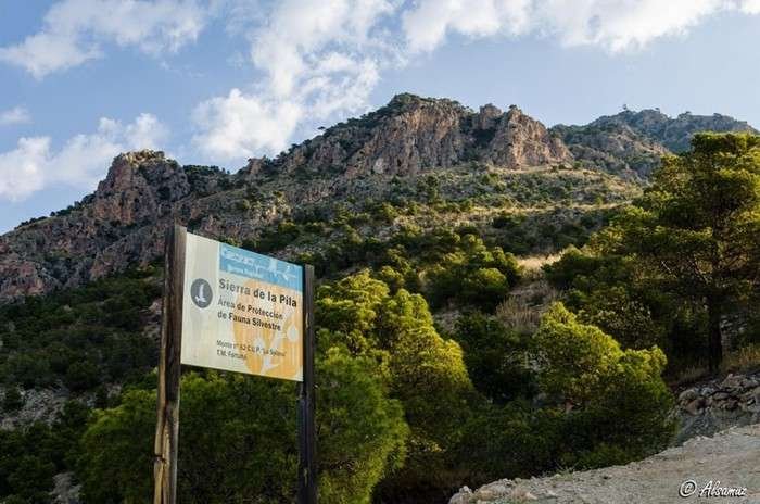Secretos de la Sierra de la Pila: curiosidades y sorpresas naturales