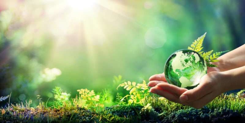 Noticias y curiosidades del medio ambiente en nuestro foro