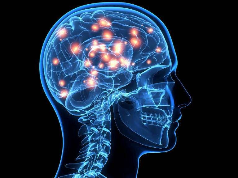 Secretos fascinantes del sistema nervioso: curiosidades sorprendentes