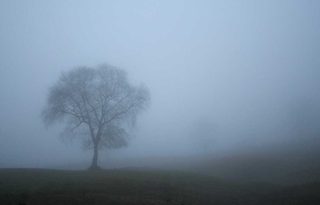 Curiosidades fascinantes sobre la niebla en la atmósfera terrestre