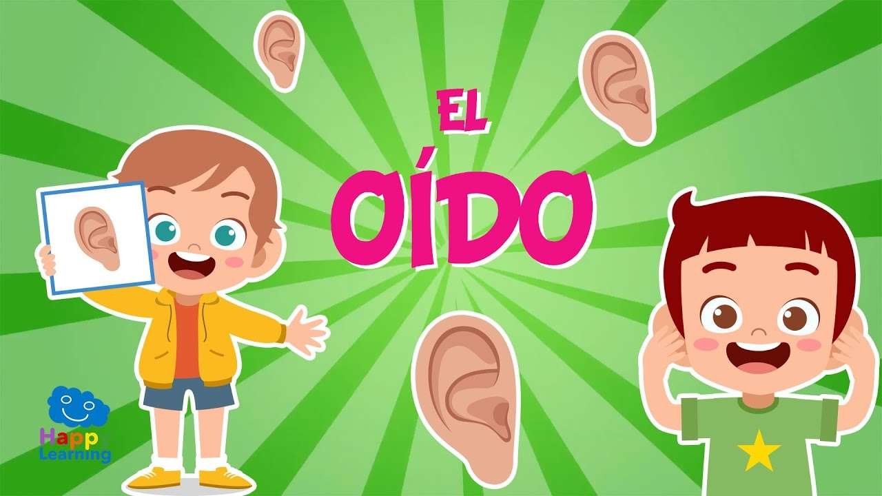 Explorando el mundo del oído: divertidas curiosidades para niños