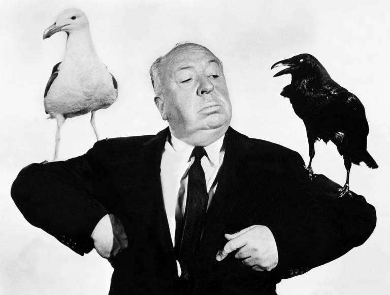 Curiosidades de los pájaros de Hitchcock
