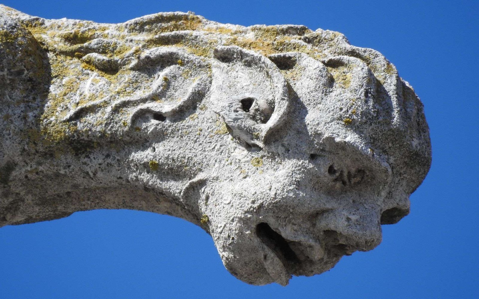Curiosidades fascinantes de la ciudad de Palencia