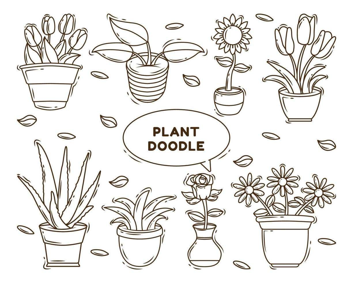 Curiosidades de las plantas de dibujo: descubre lo que hay detrás de las hojas
