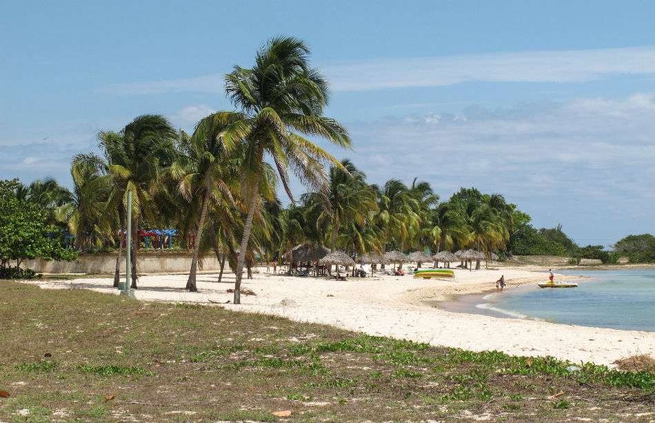 Curiosidades de Playa Larga en Cuba: fauna, flora y más