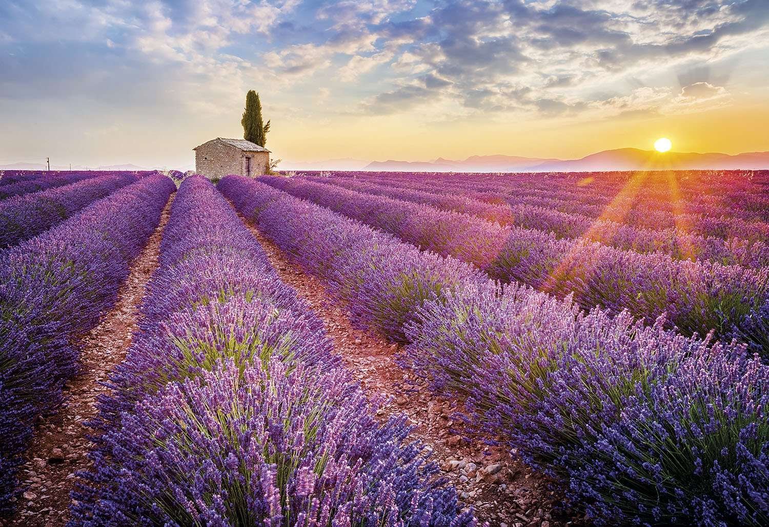 Curiosidades fascinantes de Provence Alpes Costa Azul
