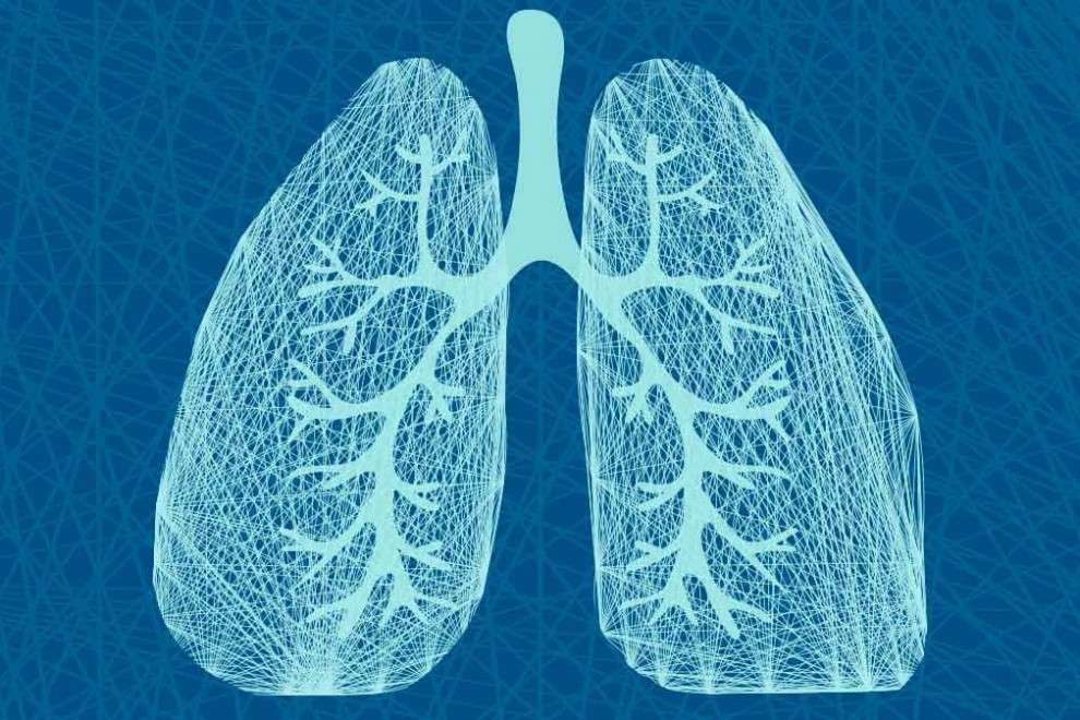 Curiosidades sorprendentes del sistema respiratorio