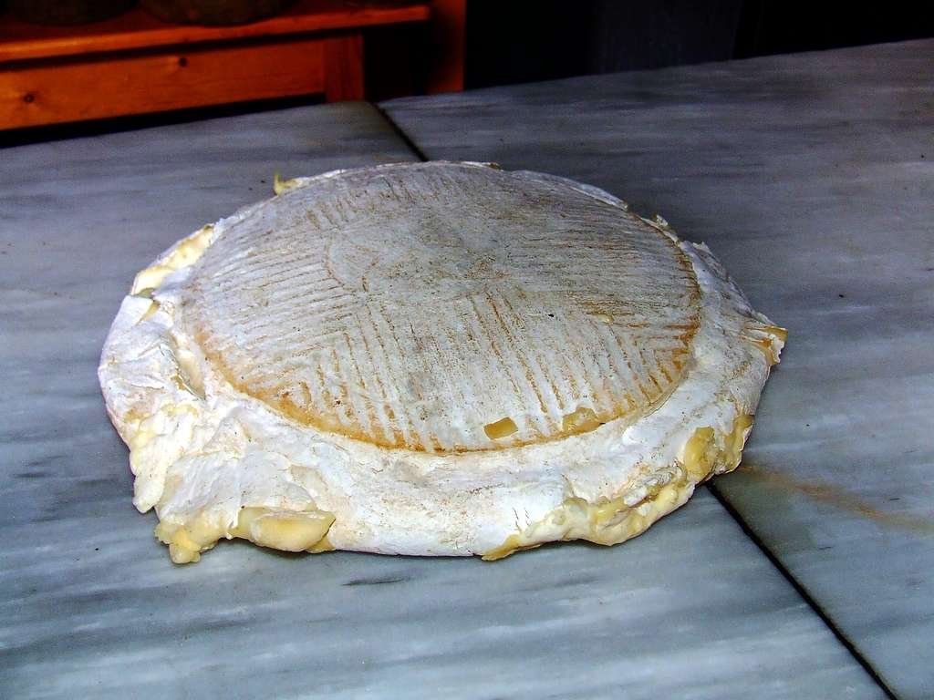Secretos y curiosidades del queso Flor de Guía