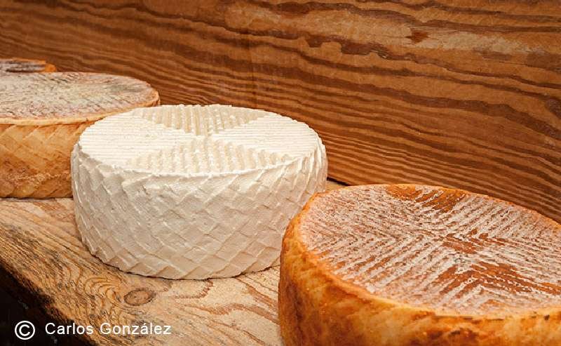 Curiosidades del queso Majorero de Fuerteventura