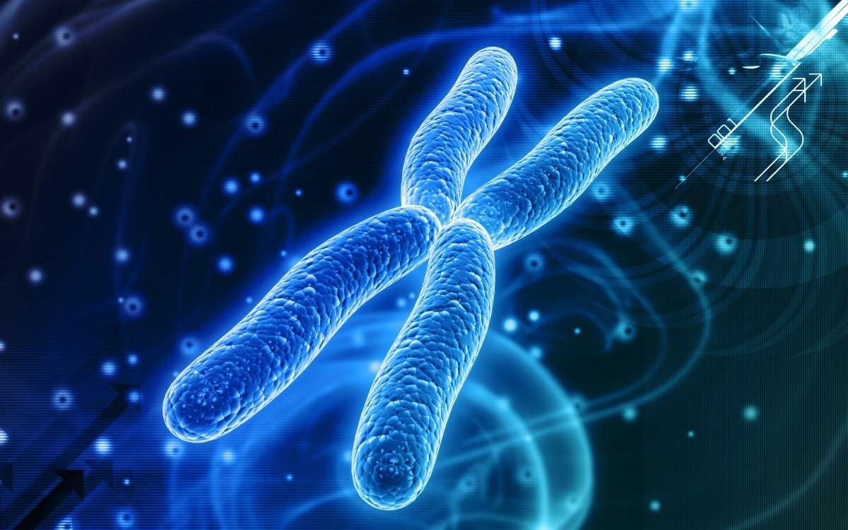 Curiosidades de las anomalías cromosómicas más raras del mundo