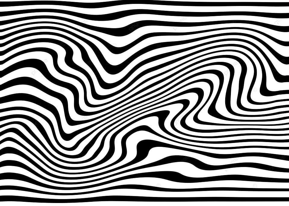 Descubre las fascinantes curiosidades del grupo de rayas blancas
