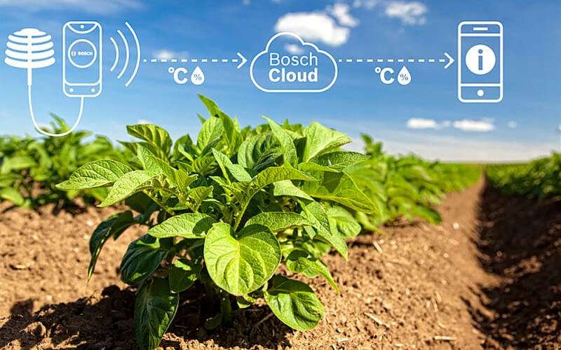 10 curiosidades sobre la etapa agraria en esta guía informativa